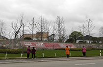 16. 临安区打造家门口的社会主义核心价值观风景线。